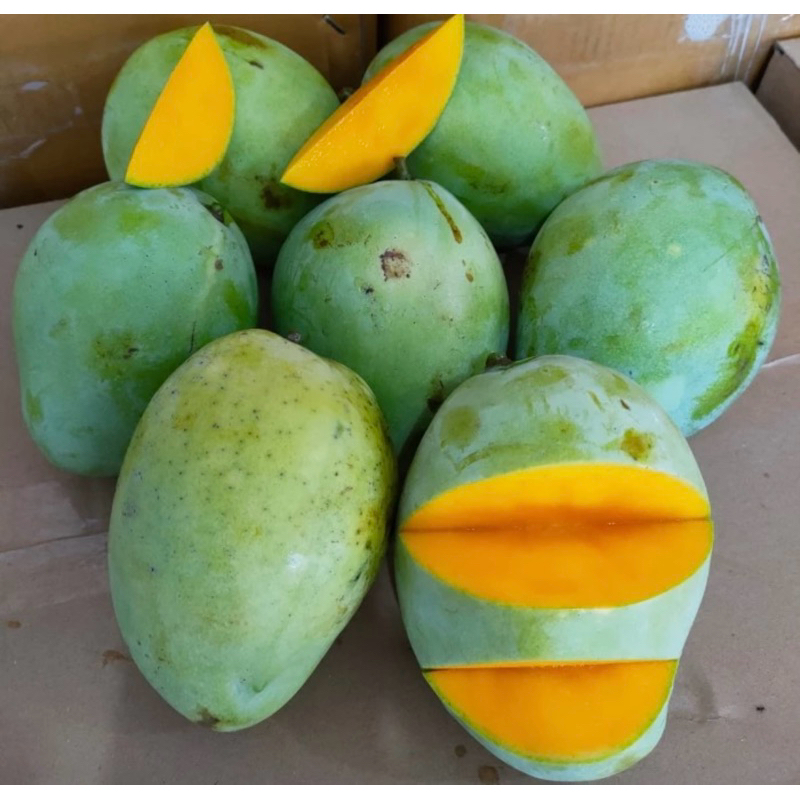 

mangga indramayu super premium 3kg