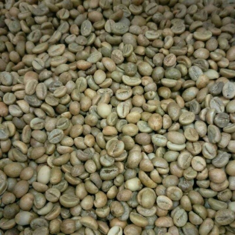 

kopi robusta