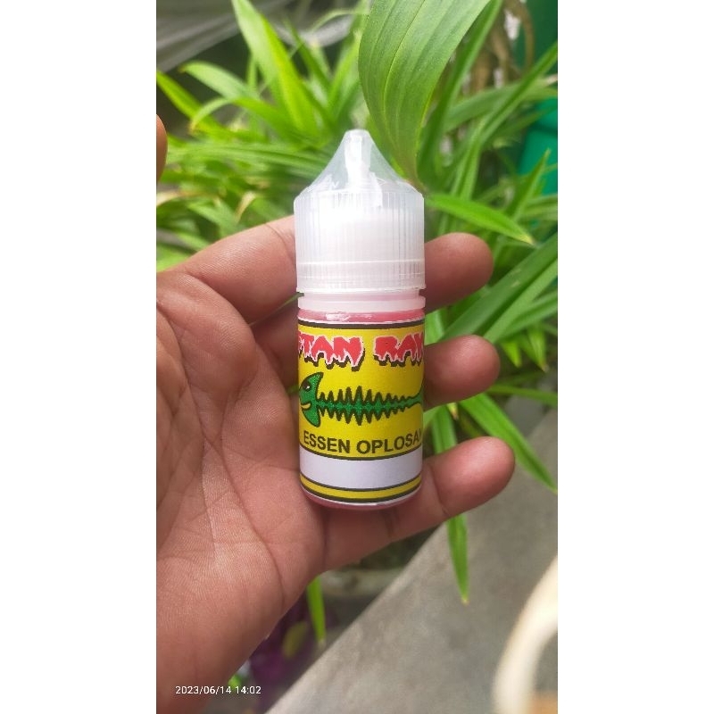 Essen Essence oplosan Ikan Patin Galatama