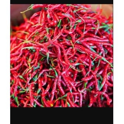 

Cabe merah keriting 250gr