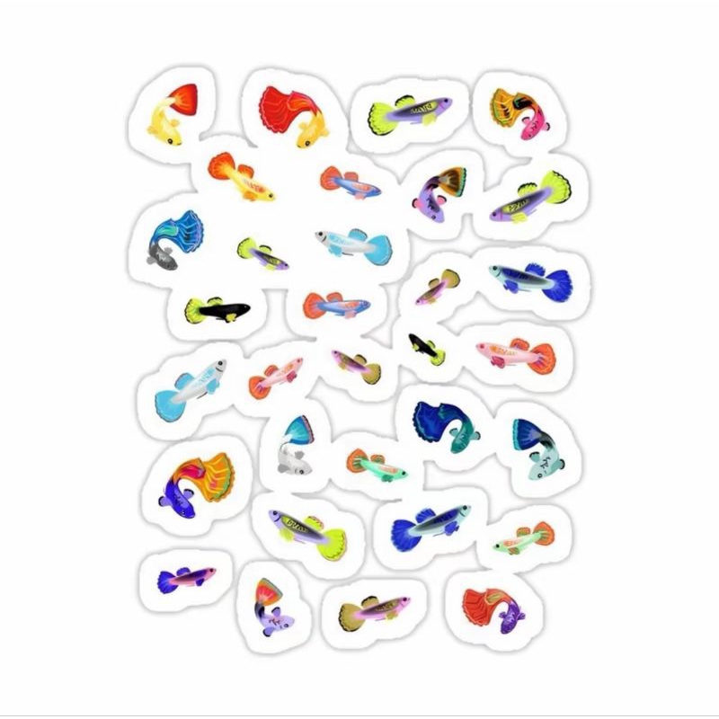 

Stiker Guppy Termurah ( co khusus live )