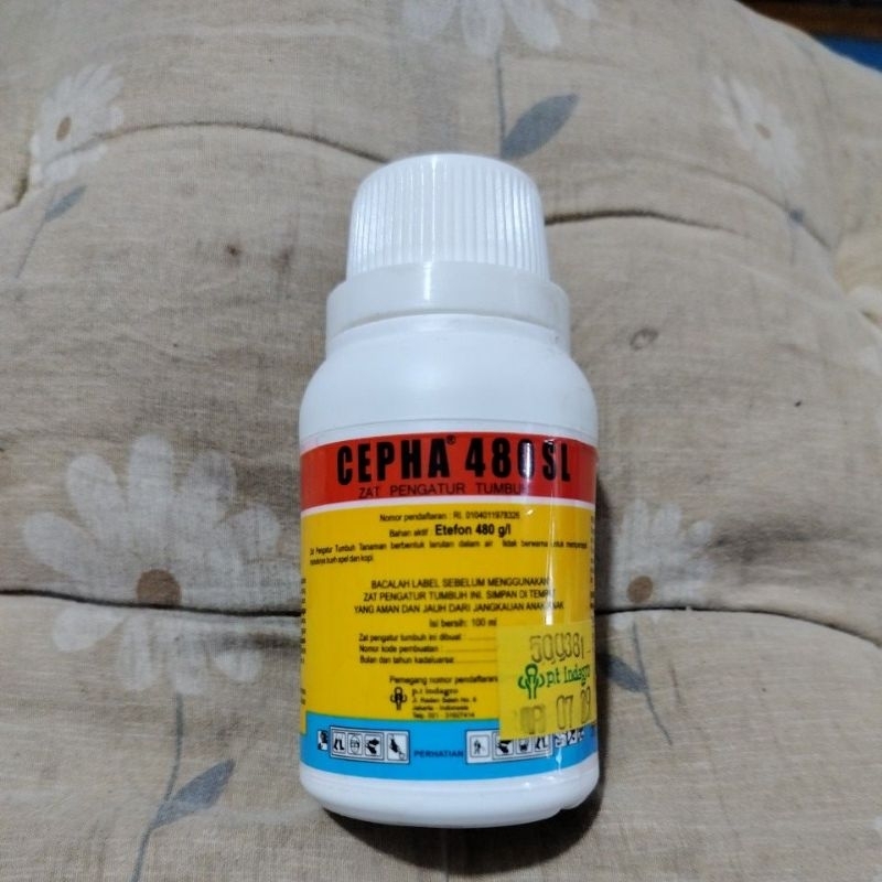Obat Getah Cepha