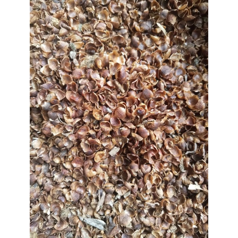 

angkup kelopak bunga 1kg kering.