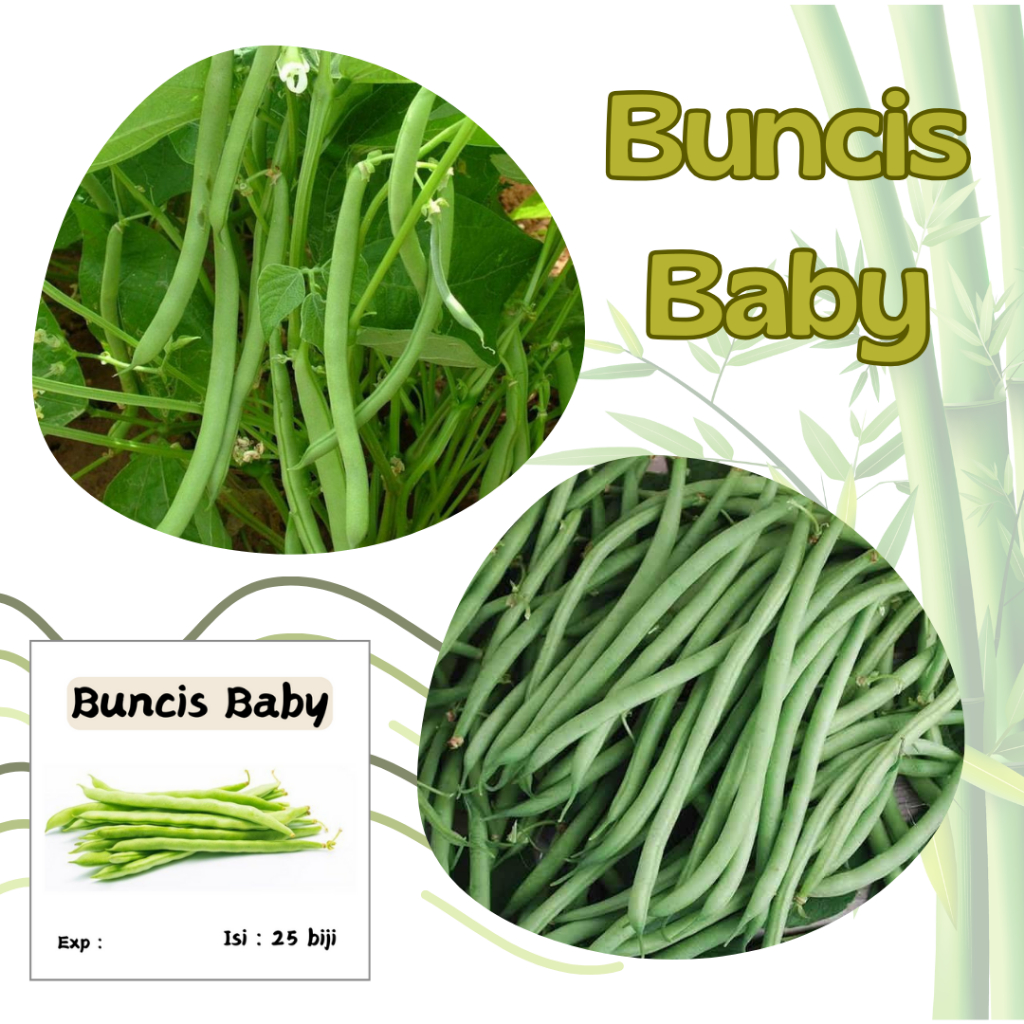 Buncis Baby 25 Biji Benih Bibit Kemasan Ekonomis Repack