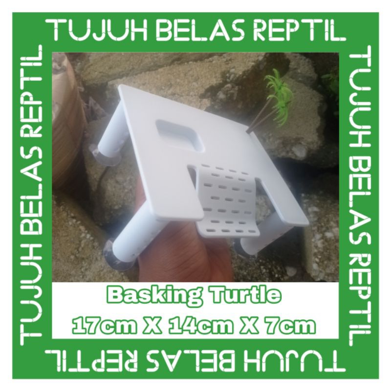 basking / tempat berjemur kura kura air