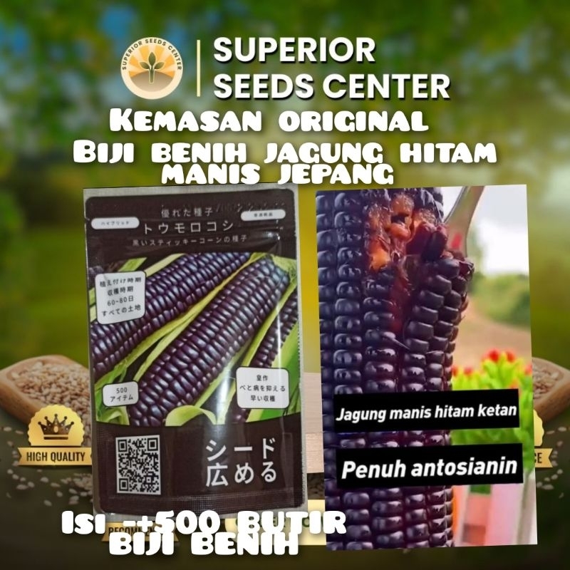 (isi 500 butir)kemasan original biji benih jagung ketan hitam manis jepang impor F1 (isi 500 butir b