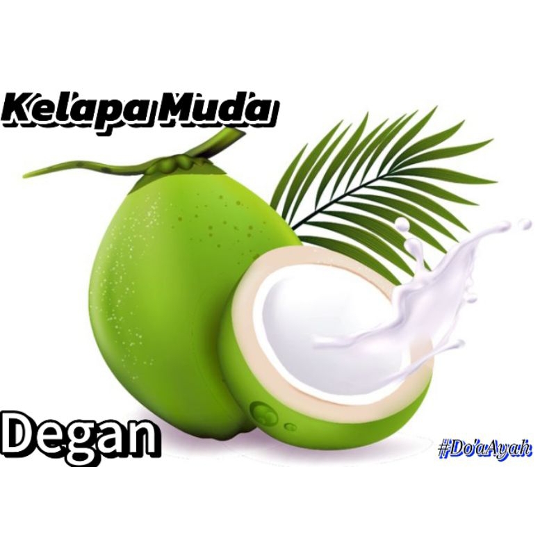 

PROMO!! Kelapa Muda // kelapa ijo muda / 2pcs