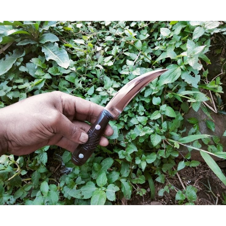 Penjualan Mutu  pisau stek okulasi grafting tanaman