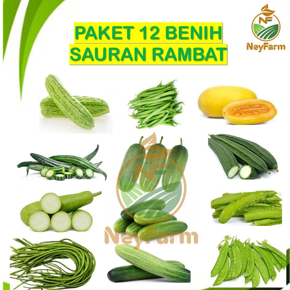 Paket 12 Benih Sayuran Rambat Paket Benih Sayuran Rambat