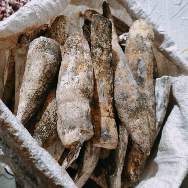 

gaplek/krekel murah paket 10 kg