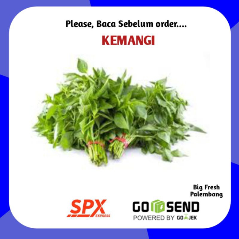 

Kemangi Per Ikat - Sayur Sayuran Belanja Online Palembang