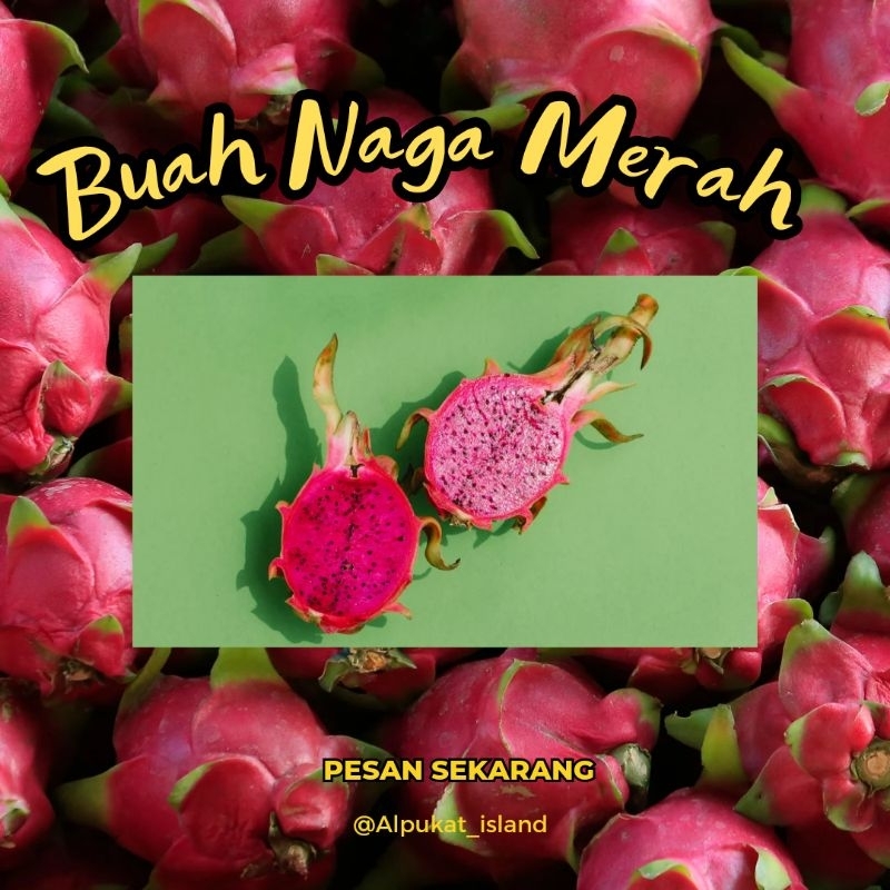 

buah naga merah