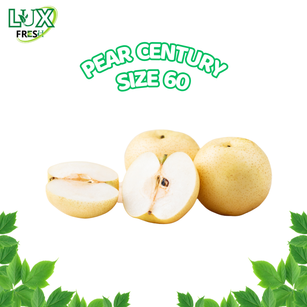 

BUAH PEAR CENTURY SIZE 60 COOL PEAR / CROWN 500 GRAM DAN 1 KG SEGAR DAN BERKUALITAS