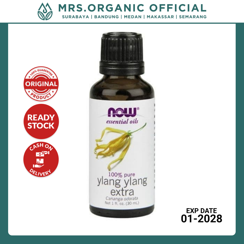 NOW Essential Oil Ylang Ylang 30ml - Essentials Esential Oils Aromatherapy Ruangan Diffuser Flu and 
