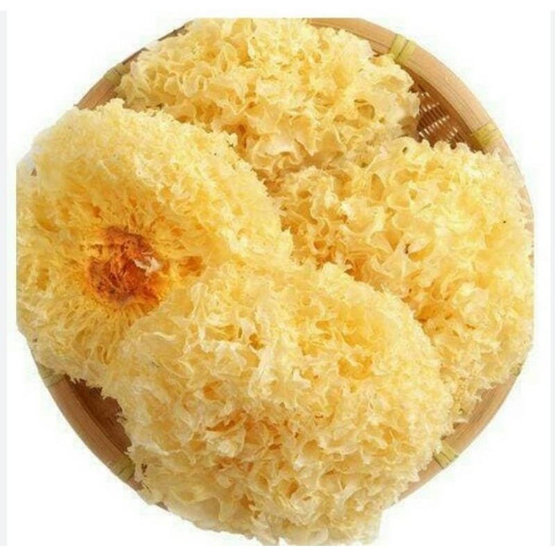 

BOKNI PUTIH 50 GR / JAMUR ES JAMUR SALJU PREMIUM