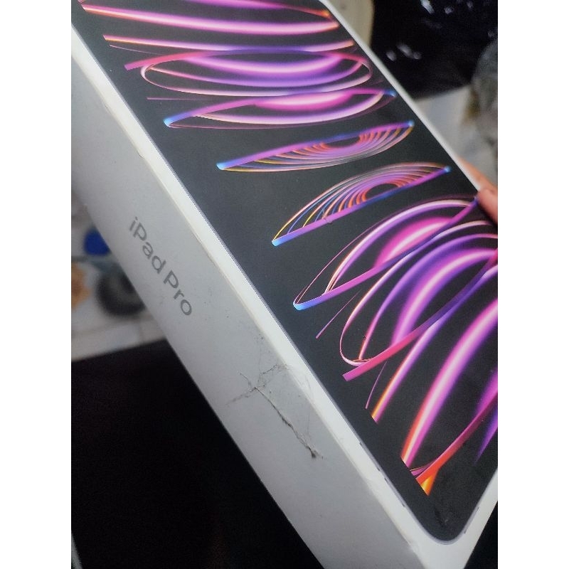 Ipad pro 11 inch M2 (gen 4) wifi bekas