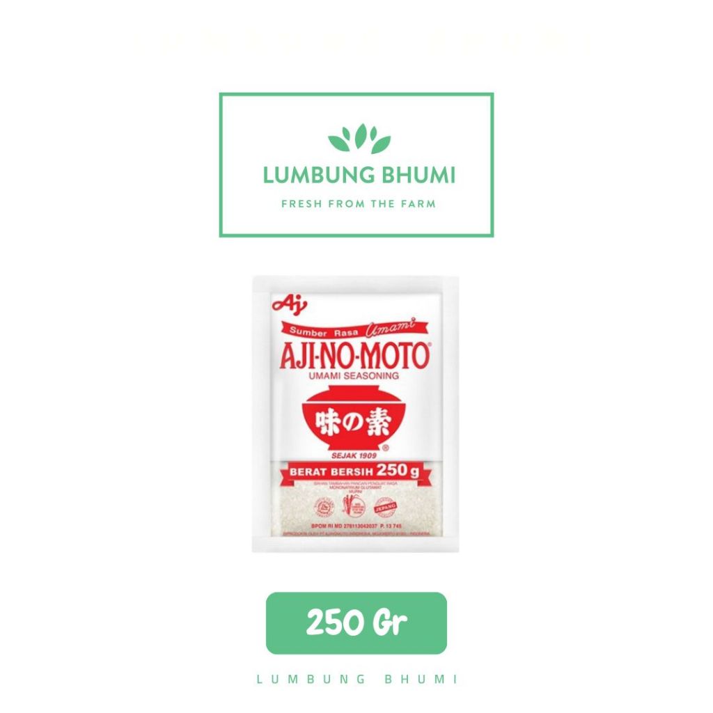 

AJINOMOTO Micin MSG 250 Gr 1 Pcs - Lumbung Bhumi