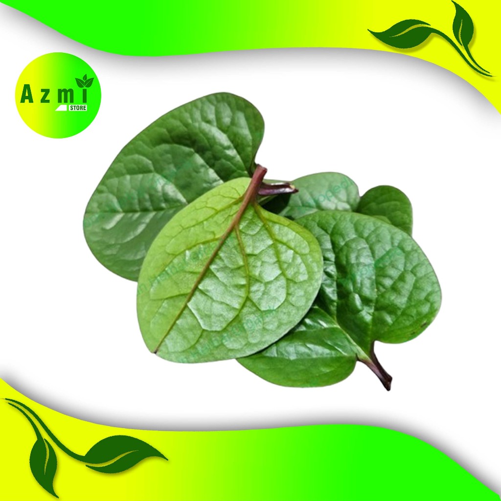 

daun angkung segar isi 250gr