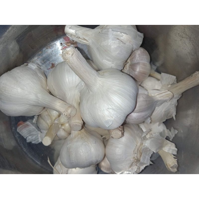 

bawang putih kating 250gr/500gr