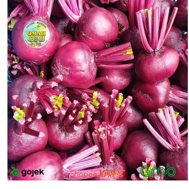 

Buah Bit Segar Beet Root Fresh