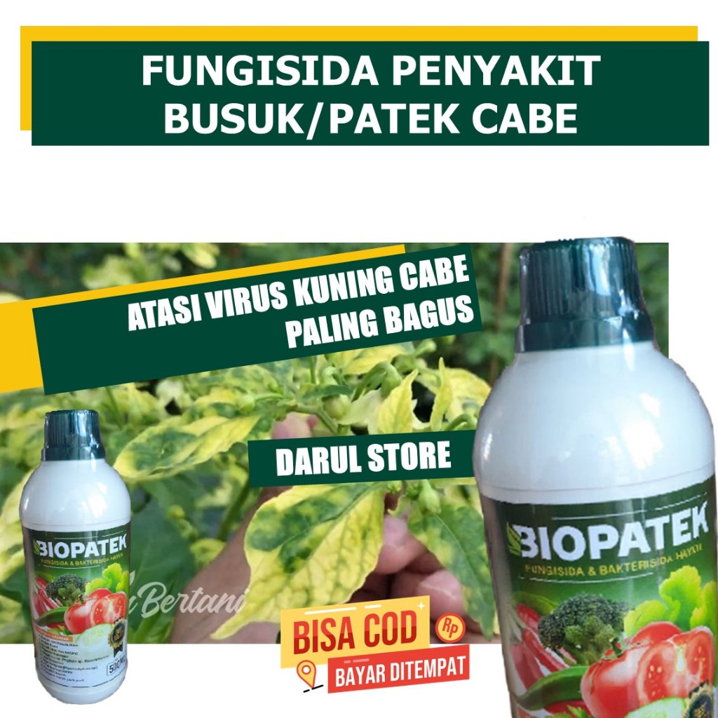 FUNGISIDA HAMA VIRUS KUNING CABE PALING MANJUR OBAT CAIR MENGATASI HAMA VIRUS CABE DAN HAMA CABE TER