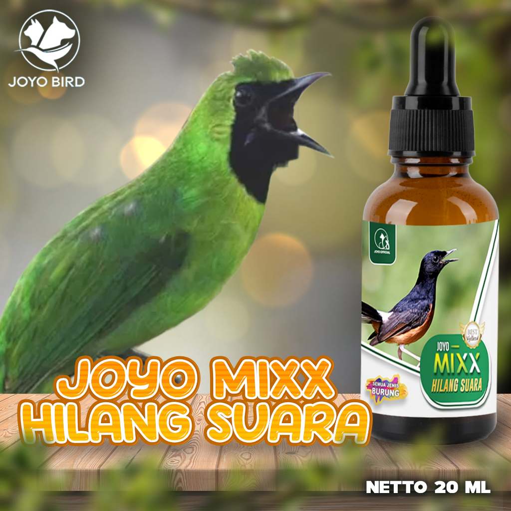 OBAT UNTUK BURUNG HILANG SUARA | MIXX HILANG SUARA