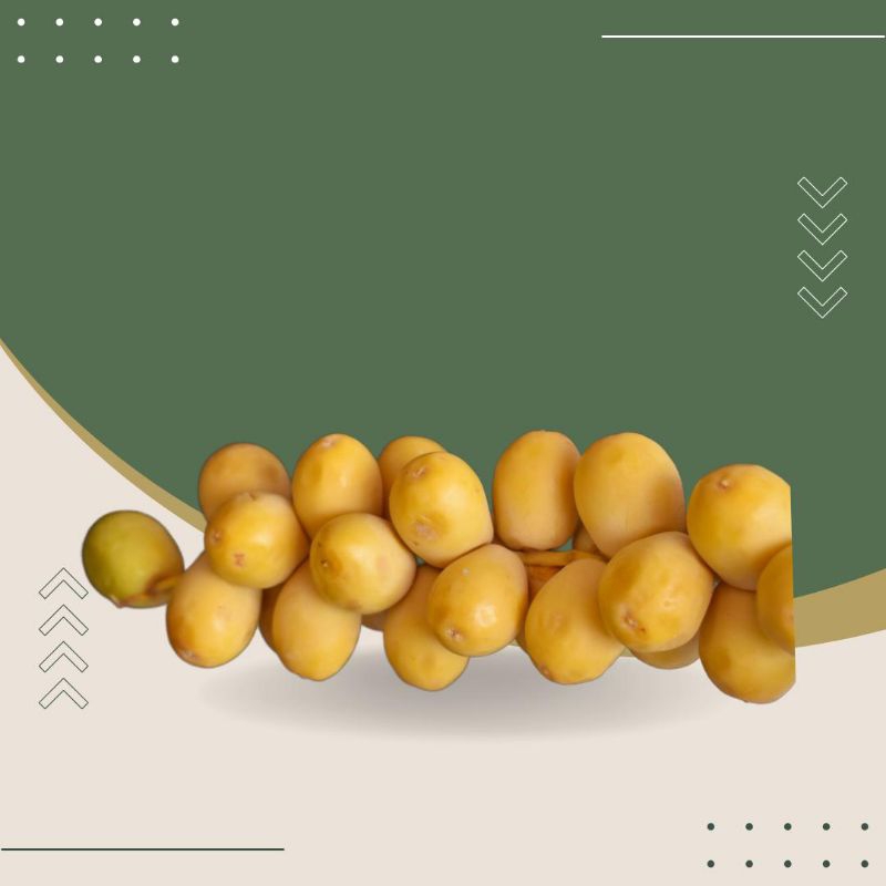 

Kurma Muda | Kurma Mentah