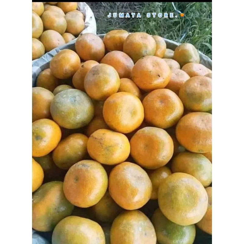 

JERUK MADU BERASTAGI 500gr/ 1kg