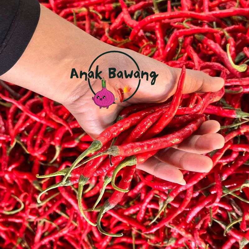 

Anakbawang75 Cabe Merah Keriting 1Kg Super Fresh