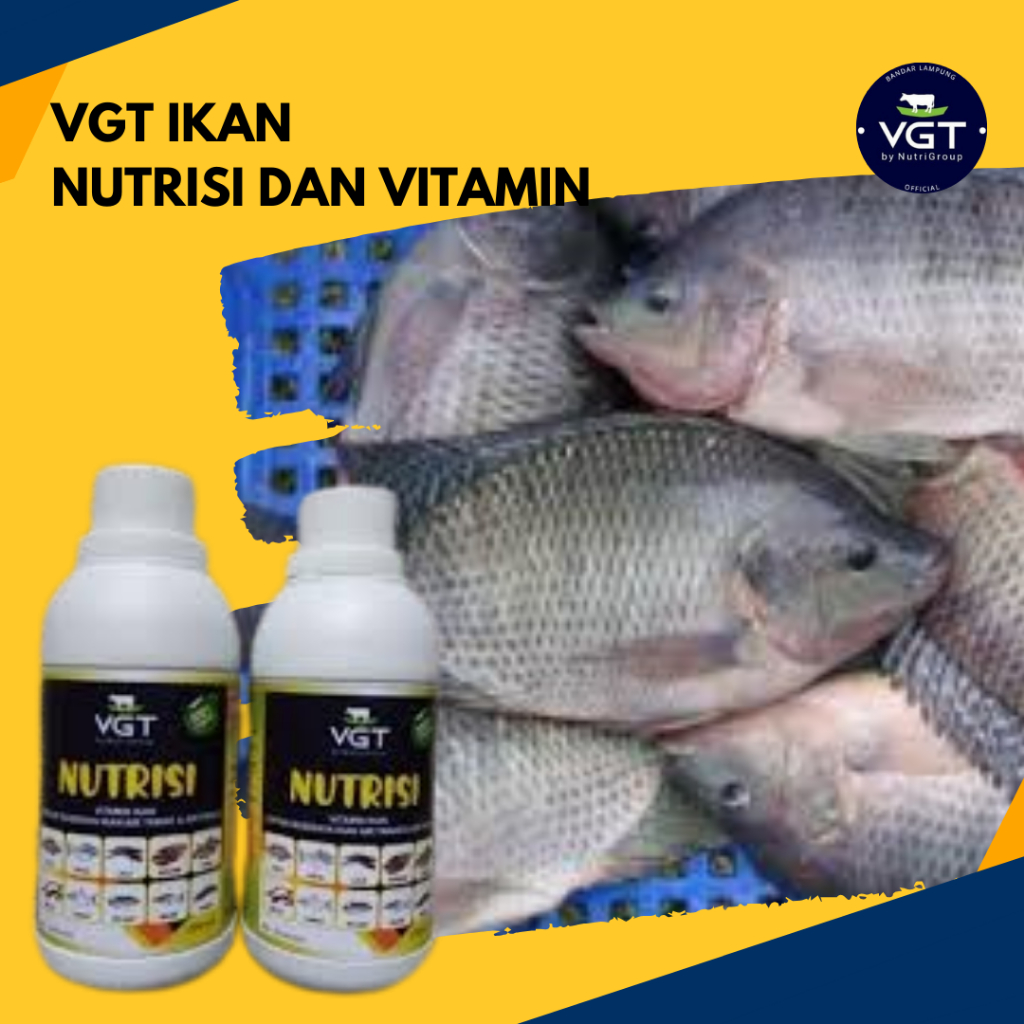 VGT nutrisi ikan perikanan vitamin probiotik pertumbuhan pembibitan pendederan pembesaran lele tawes