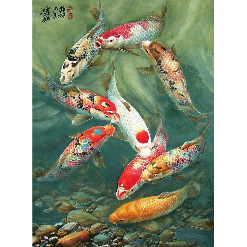 Hiasan dinding plus bingkai uk:35cm x53cm Lukisan cetak ikan koi