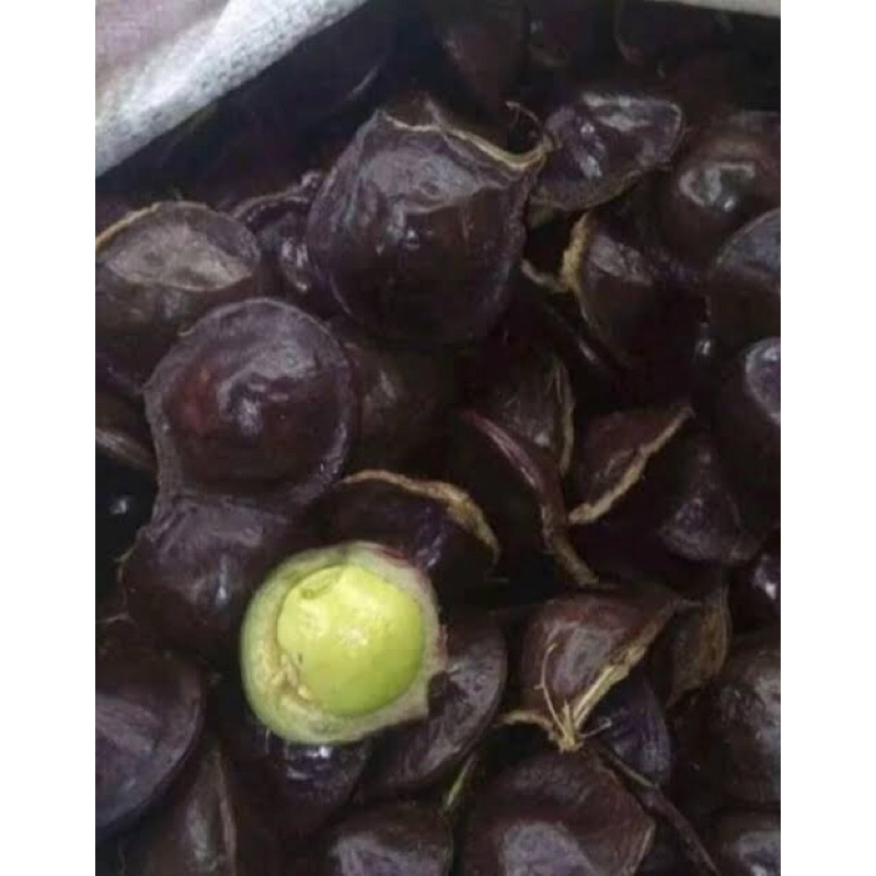 

jengkol muda lalapan / jengkol muda cangkang