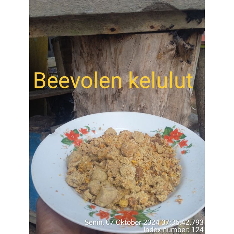 

Bee pollen kelulut Murni|Superfood kesehatan sel