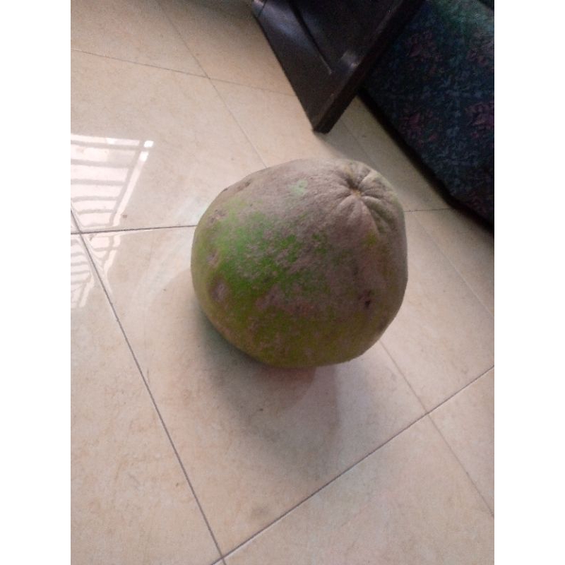 

jeruk/jeruk bali/buah jeruk/buah jeruk bali/jeruk manis/jeruk bali manis