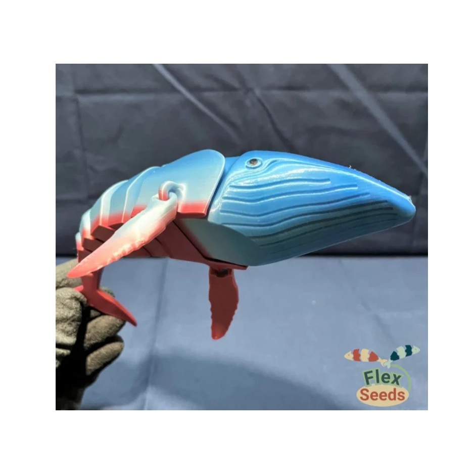 Mainan Ikan Paus Edukasi Anak Flexi Humpback Whale Paus biru terbaru