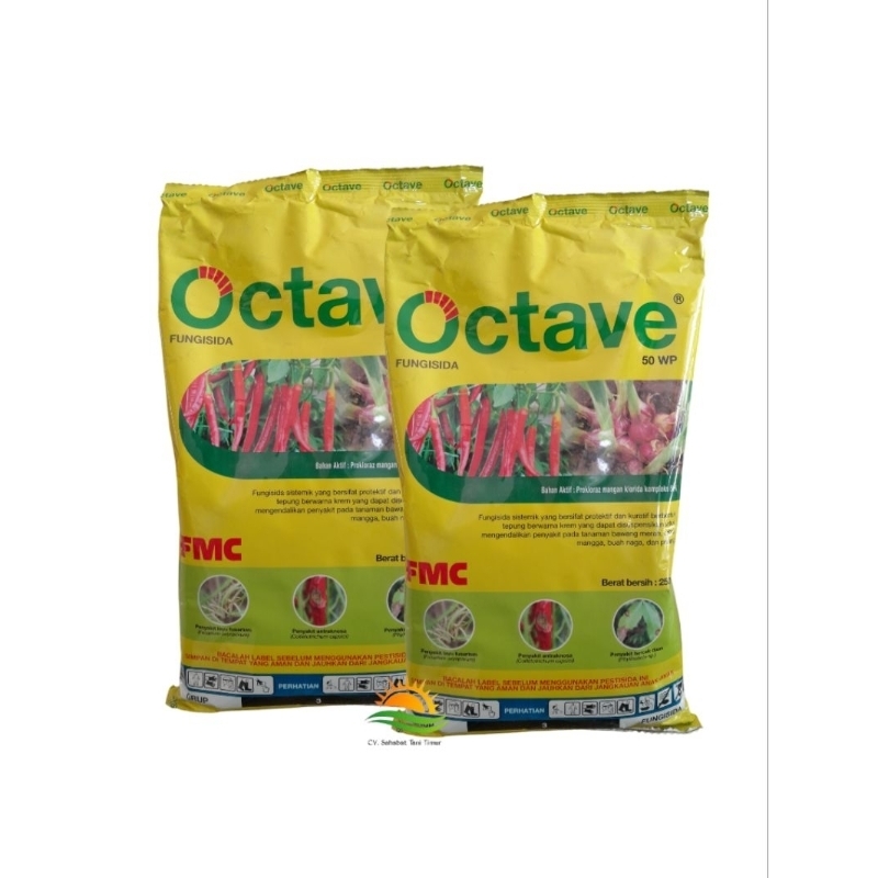 Octave 50 WP - 250 gr