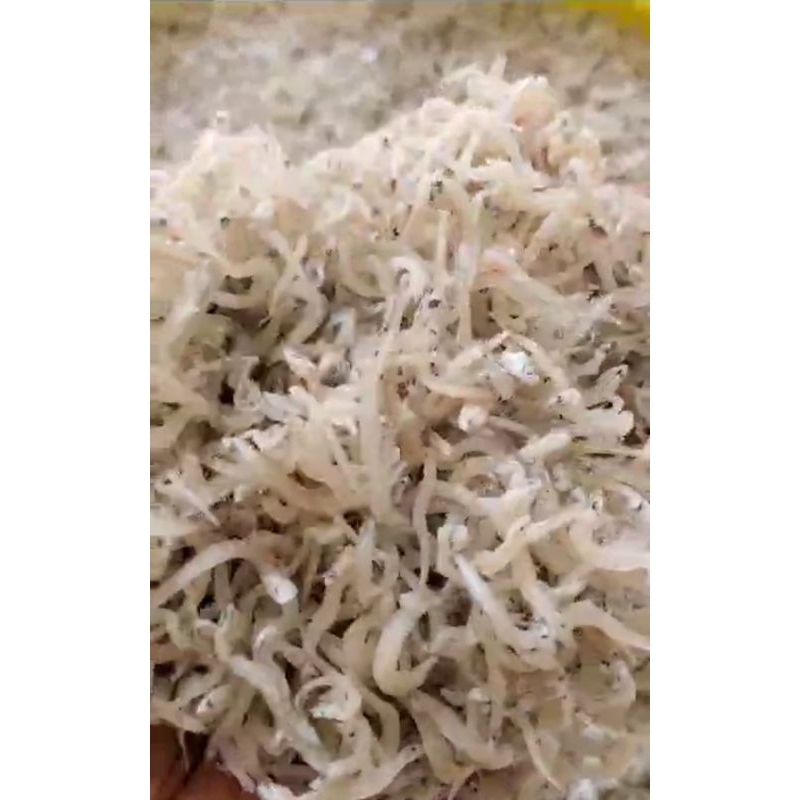 

Ikan Teri Nasi