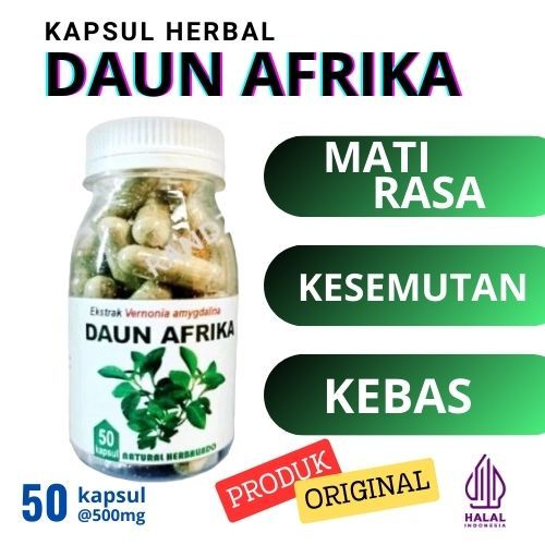herbal stroke obat strok jamu kolesterol hipertensi kebas kesemutan kram Daun afrika isi 50 kapsul