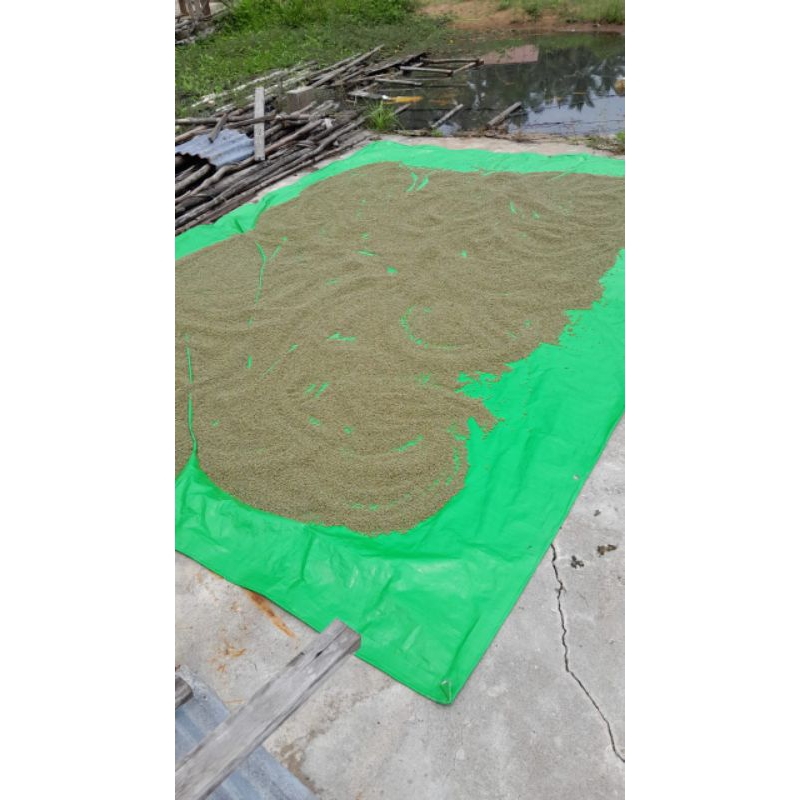 

kacanghijauorganikasli