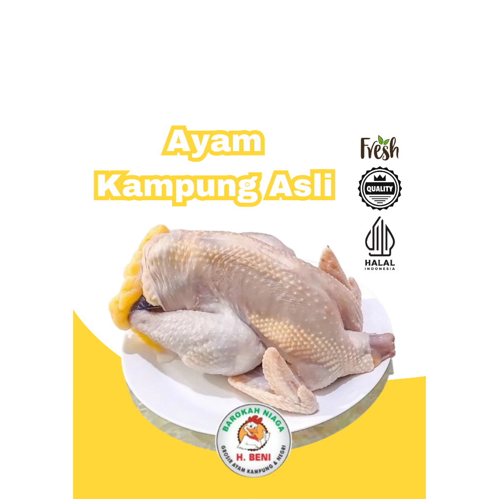 

AYAM KAMPUNG ASLI FRESH SIAP SAJI Free request cut