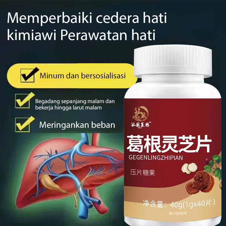 [Melindungi hati dan menurunkan lemak] Tablet Pueraria lobata dan Ganoderma lucidum /Tablet Pueraria
