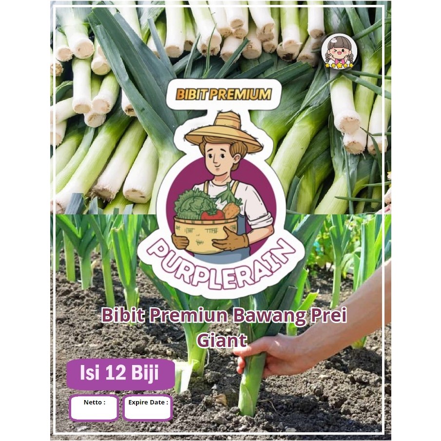 Bibit Premium Daun Bawang Prei Giant |Bibit Daun Bawang Jumbo|Benih Daun Bawang