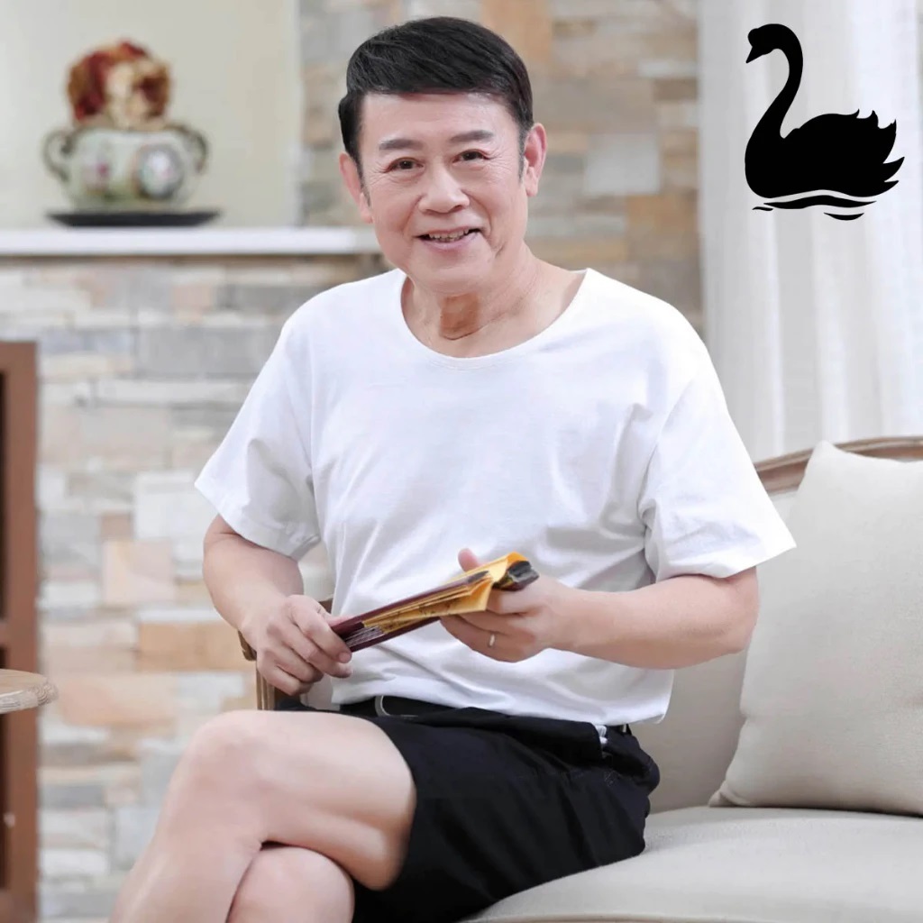 Kaos Oblong Swan | Swan Shogunavo Kaos Oblong Pria Swan Brand Type Premium Putih - Enggane