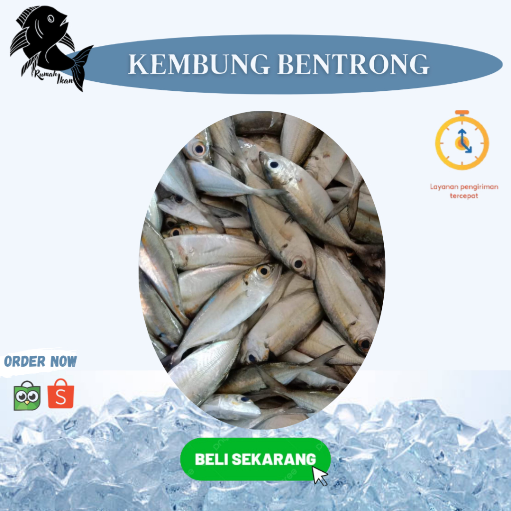 

Ikan Kembung Bentrong Rumah ikan Segar 1kg