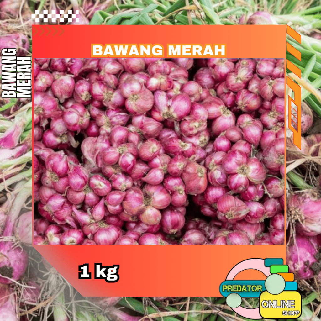 

bawang merah 1kg