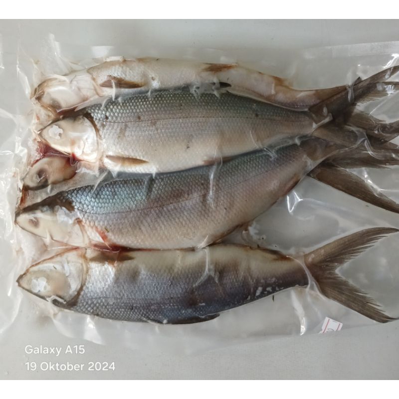 

Ikan Bandeng