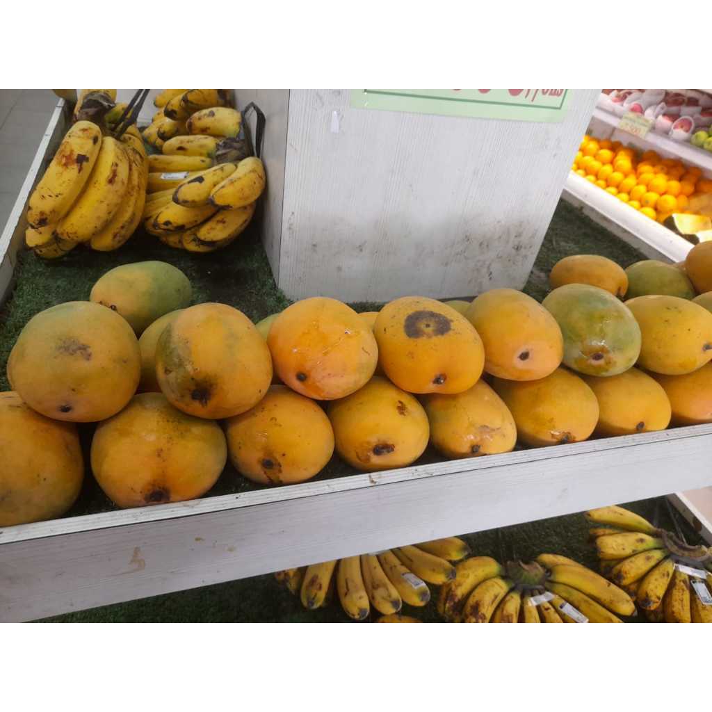 

mangga gedong manis (900g - 1kg)