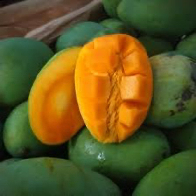 

MANGGA HARUM MANIS MASAK POHON (Buy 1kg Free 1kg)