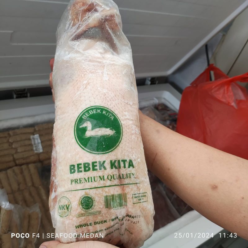 

Bebek Peking size 2,3-2,5 kg/ekor