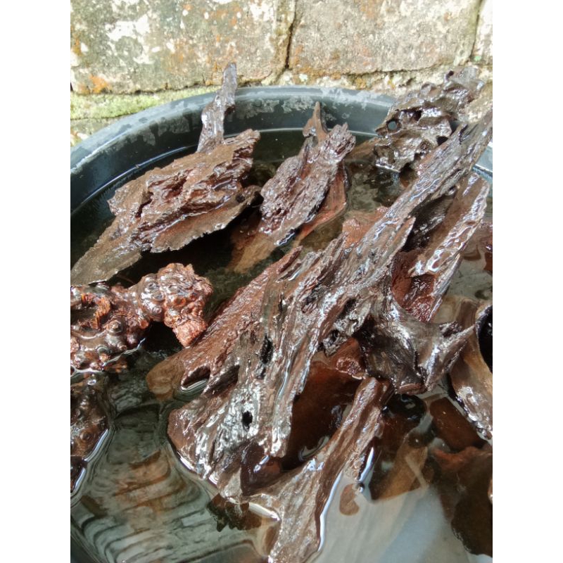 kayu aquascape tenggelam